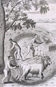La manière de fouler leur riz, pub. 1681