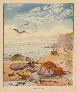 Les pèlerins chatons : Pieuvre mensonge - Robert Michael Ballantyne