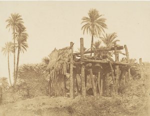 Sakkieh nubien, ou Roue à eau, vers 1856 - Robert Murray.