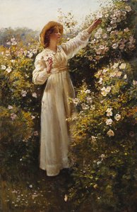 Églantine