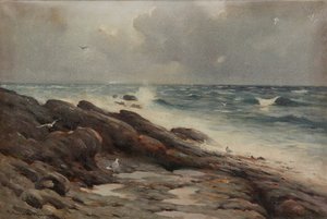 Côte rocheuse