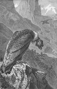 Le Condor, vers 1885, 1890
