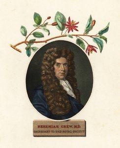 Portrait de Nehemiah Grew, médecin et botaniste