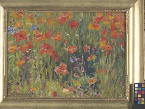 Coquelicots