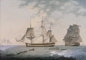 Chasse à la baleine dans l