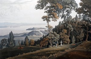 Vue de Halliburton