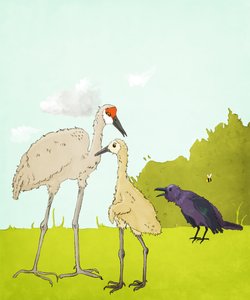 Gus Gus et le corvidé