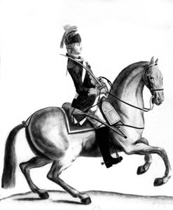 Le Chevalier d