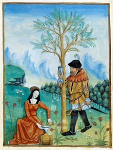 Récolte du baume. Un homme récolte la résine, ou sève, qui coule d