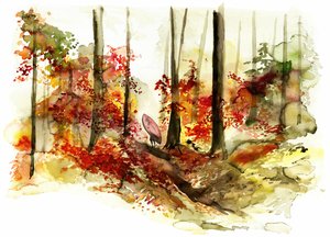 Une escapade surf dans la forêt d