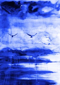 Des oiseaux au-dessus de l