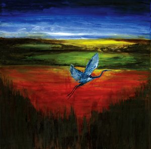 Le vol éclatant du héron bleu - RodMacIver