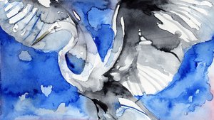 Héron bleu en vol - RodMacIver