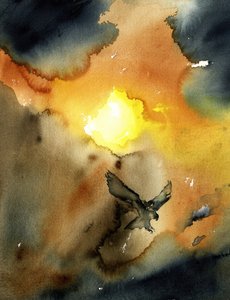 Un aigle planant au coucher du soleil - RodMacIver