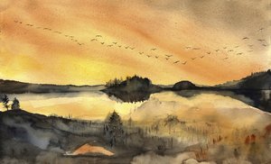  - RodMacIver