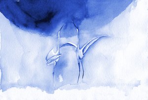 Gracieux oiseaux bleus - RodMacIver