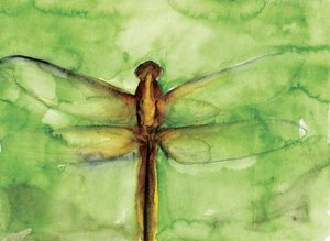 Aquarelle « Libellule verte » - RodMacIver