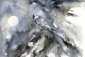 Observation des faucons au clair de lune - RodMacIver
