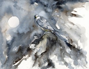 Observation des faucons au clair de lune - RodMacIver