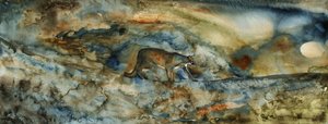 Le passage du puma - RodMacIver