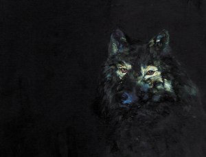 Le mystérieux loup noir