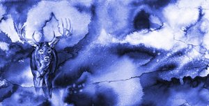 Le cerf bleu mystique - RodMacIver