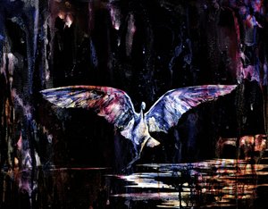 Vol nocturne mystique - RodMacIver