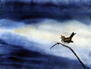 Oiseau chanteur - Ciel nocturne