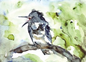 Oiseau chantant à l