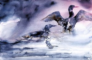 Les oiseaux aquatiques au crépuscule - RodMacIver
