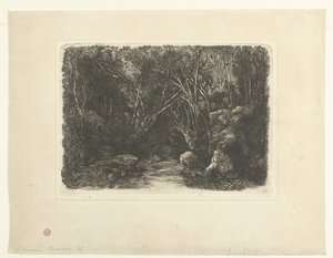 Paysage forestier avec ruisseau et arbres surplombants - Rodolphe Bresdin