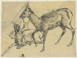 Trois cerfs