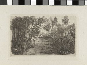 Paysage avec ruisseau et arbres sur les rives - Rodolphe Bresdin