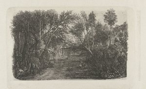 Paysage avec ruisseau et arbres sur les rives - Rodolphe Bresdin