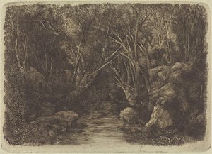 Le ruisseau dans les bois