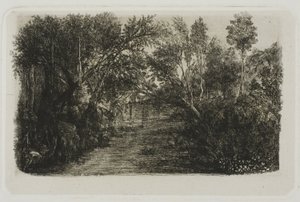 Le Ruisseau - Rodolphe Bresdin