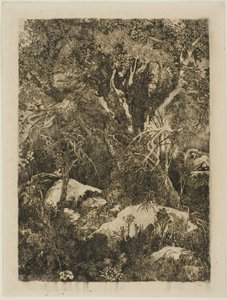 La Forêt de Fontainebleau - Rodolphe Bresdin