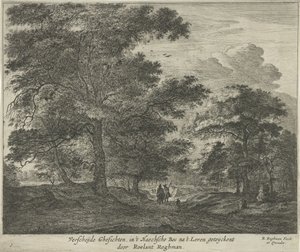 Sentier forestier dans la forêt de La Haye - Roelant Roghman