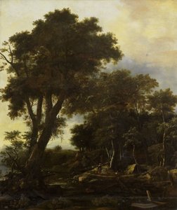Paysage forestier avec abri de fortune