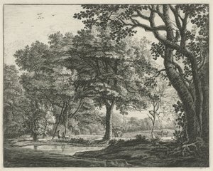 Cerfs dans la forêt de La Haye - Roelant Roghman