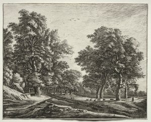 Six vues dans le bois de La Haye : Chèvres sous les arbres - Roelant Roghman