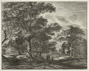 Six vues dans le bois de la Haye (série) - Roelant Roghman