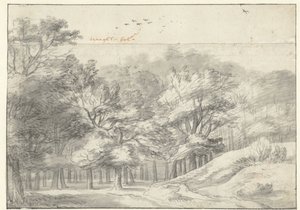 Vue dans la forêt de La Haye - Roelant Roghman
