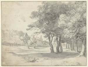 Vue dans le Haagse Bos, avec la Grote Kerk, La Haye, au loin - Roelant Roghman