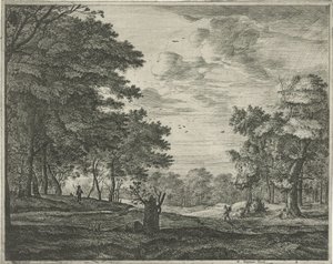 Promeneur dans la forêt de La Haye