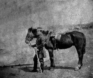 Capitaine Arthur Layard, 1855
