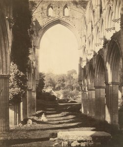 Abbaye de Rievaulx, 1854 - Roger Fenton