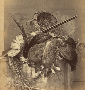[Nature morte avec gibier et fusil] - Roger Fenton