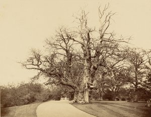 - Roger Fenton
