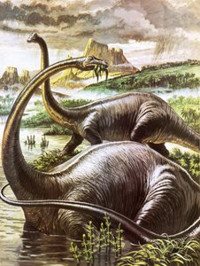 Diplodocus - Roger Payne
